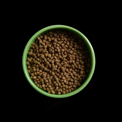 Yora Insect Protein Puppy All Breed Dry Dog Food New